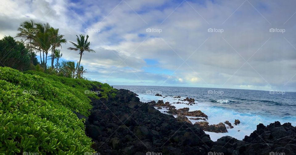 A beautiful December day on the island of Hawaii