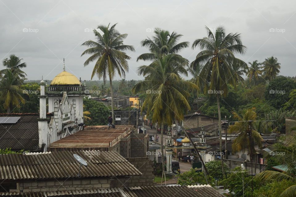Ambalanduwa village view from 4 the floor green village sri Lanka