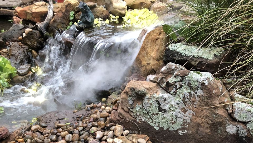 Pond with Mist