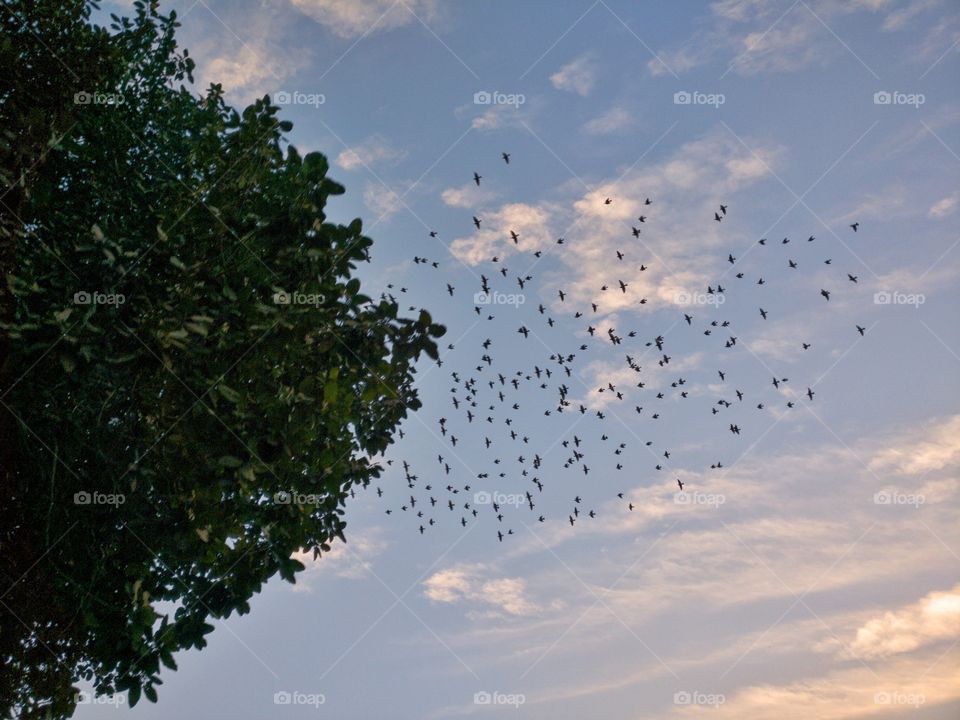 Landscape, Sky, No Person, Nature, Outdoors