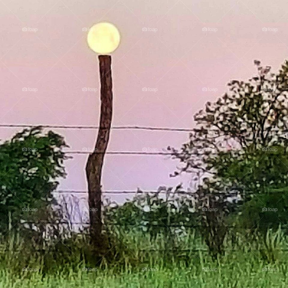 Full moon on a stick