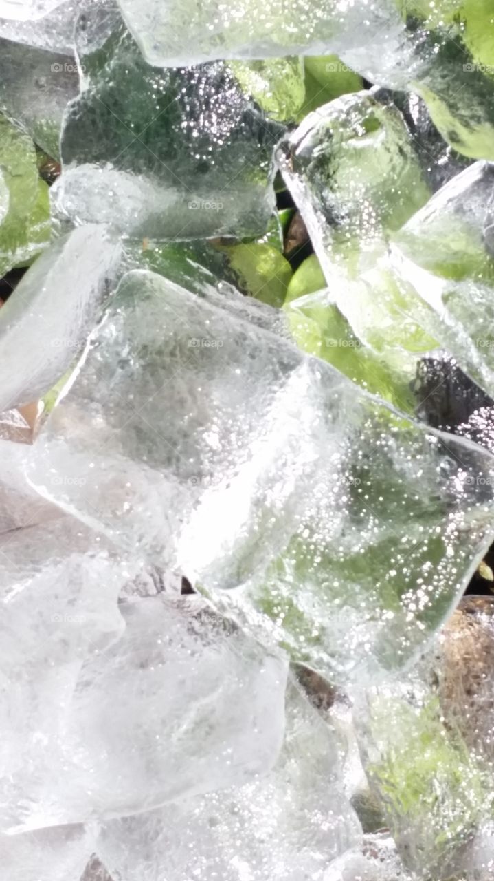 ice on green leaves