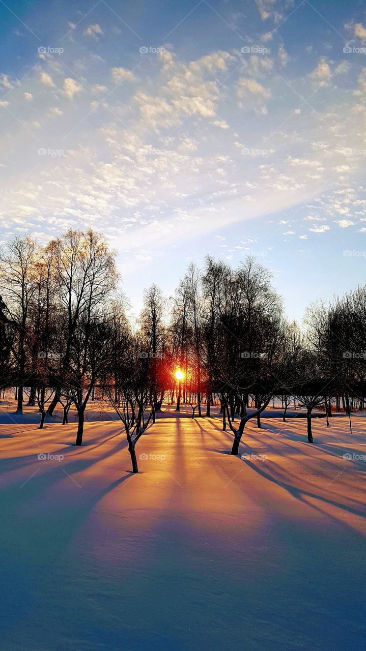 sunlight in december