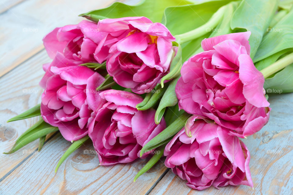 bouquet of pink spring tulips on a old wooden empty copy space background