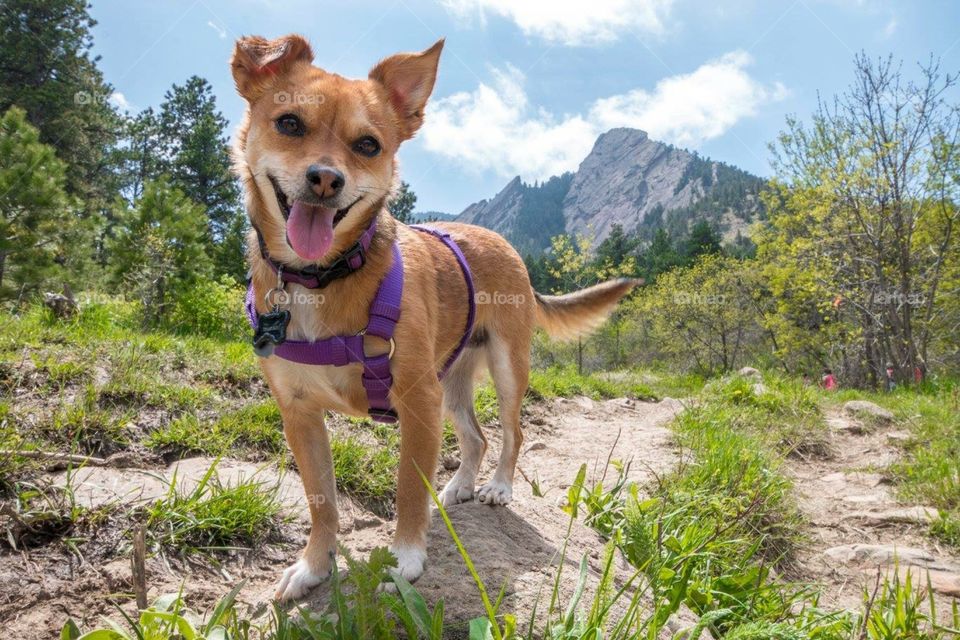 Great adventure in the mountains 