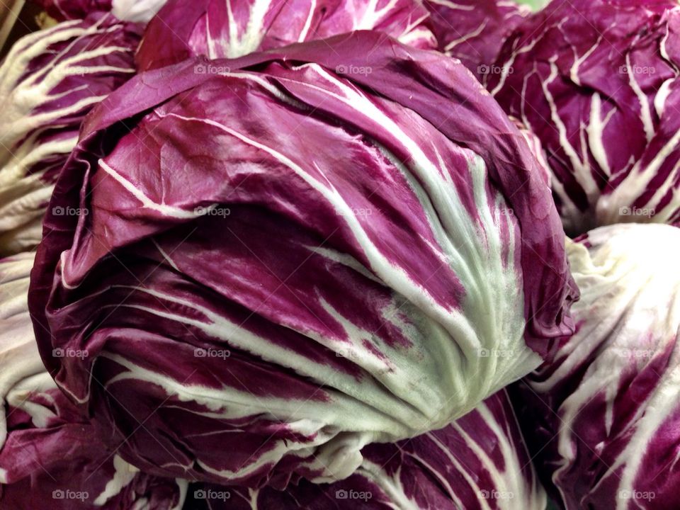 Purple Cabbage