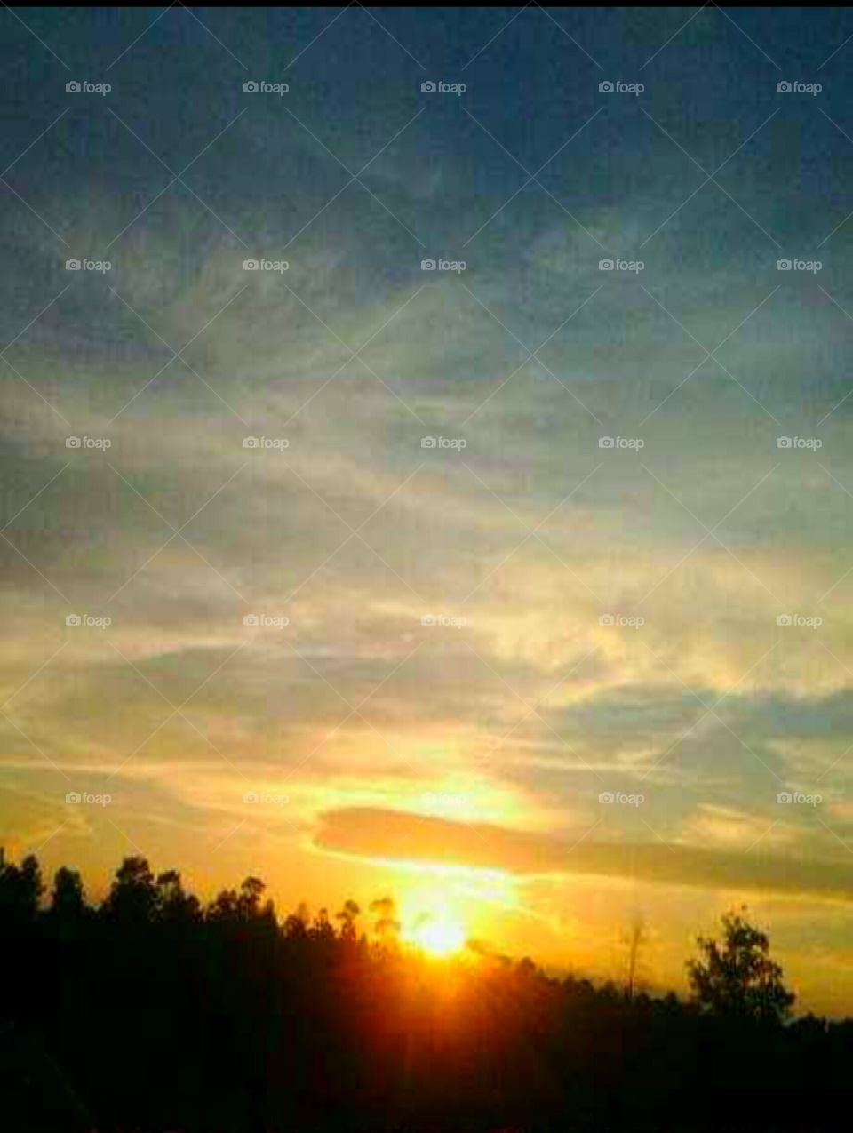 Sunset in the spring natural beauty