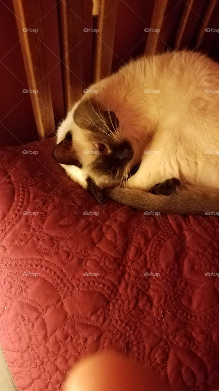 little miss waking up