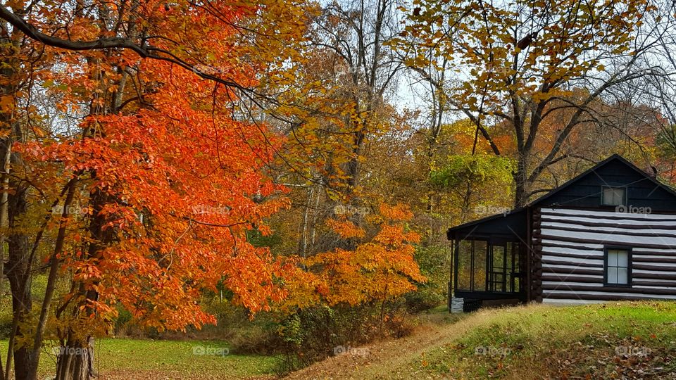 cabin in the woods in autumn