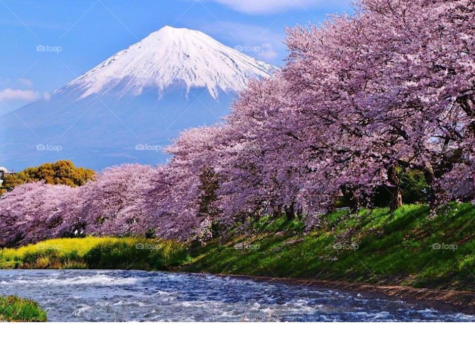 Mount Fuji Japan 