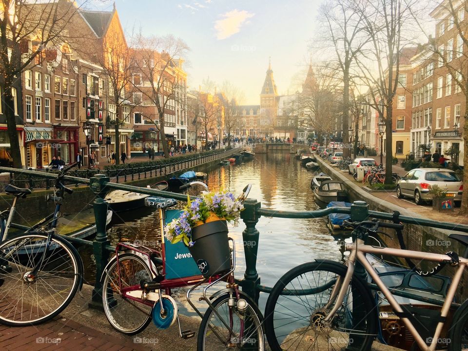 Amsterdam sunny day 
