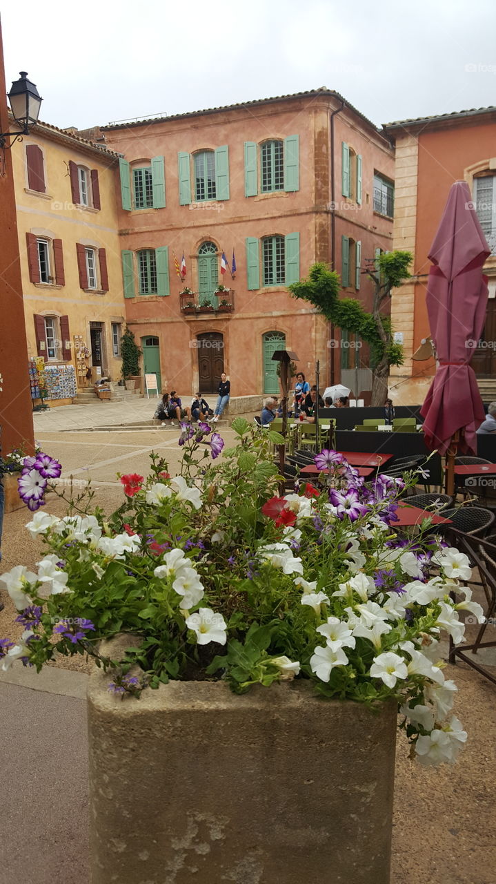 Flowers in front of building