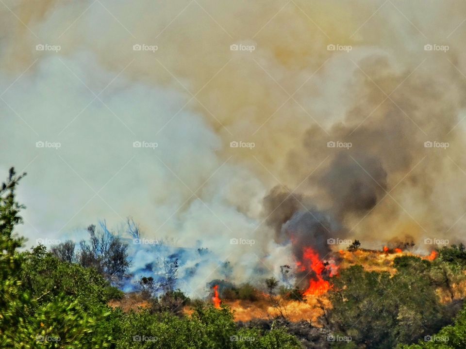 Forest Fire. Wildfire In California Forest
