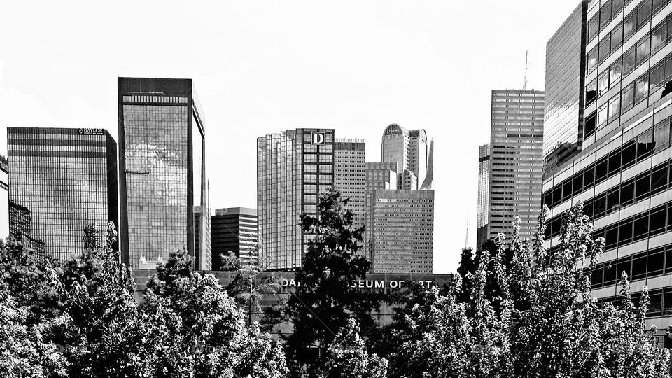 Downtown Dallas Big D Skyscraper & surrounding architecture in black & white