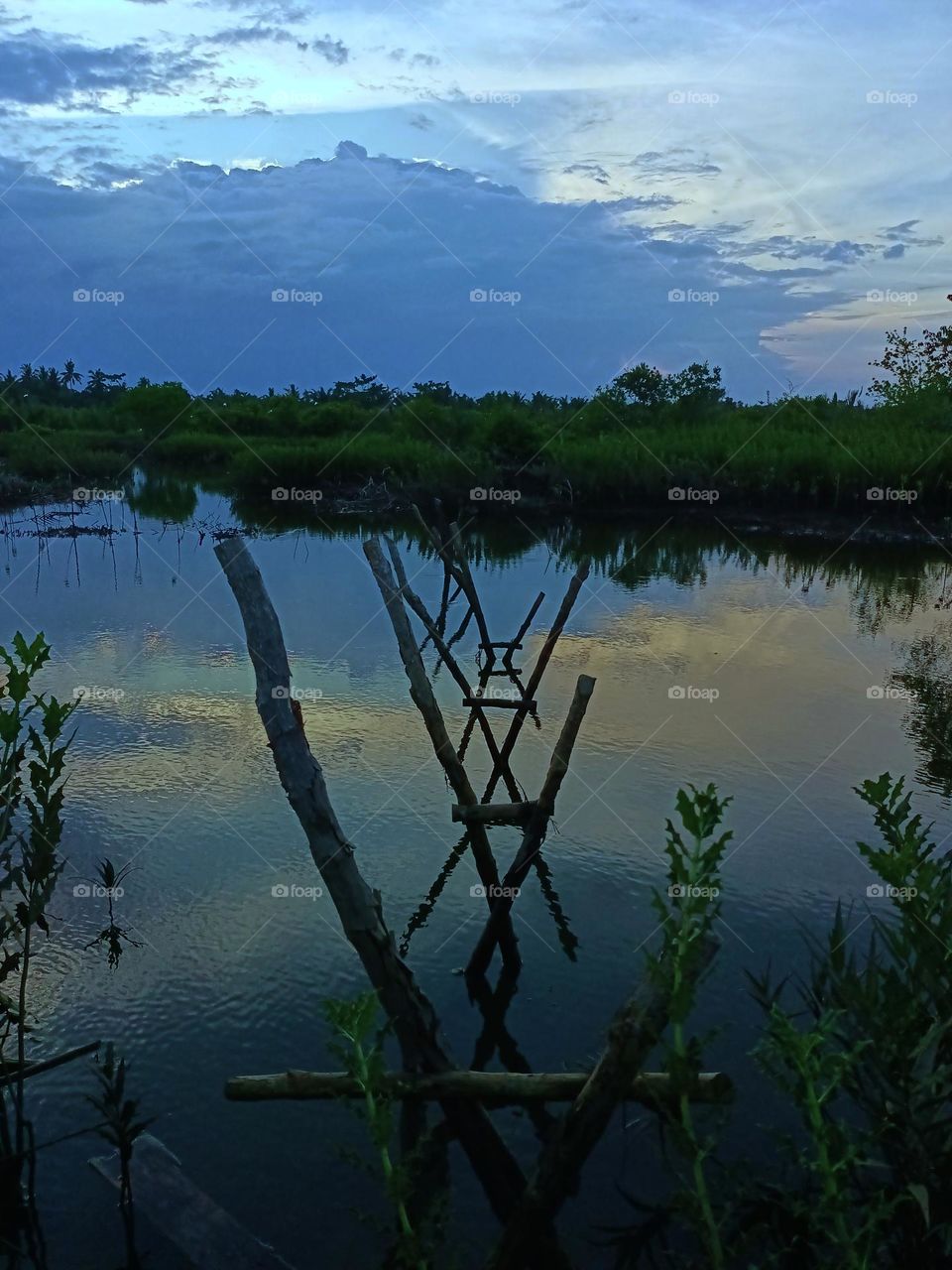 Wooden bridge pillars. Best place for fishing.Wetland landscape at dusk.