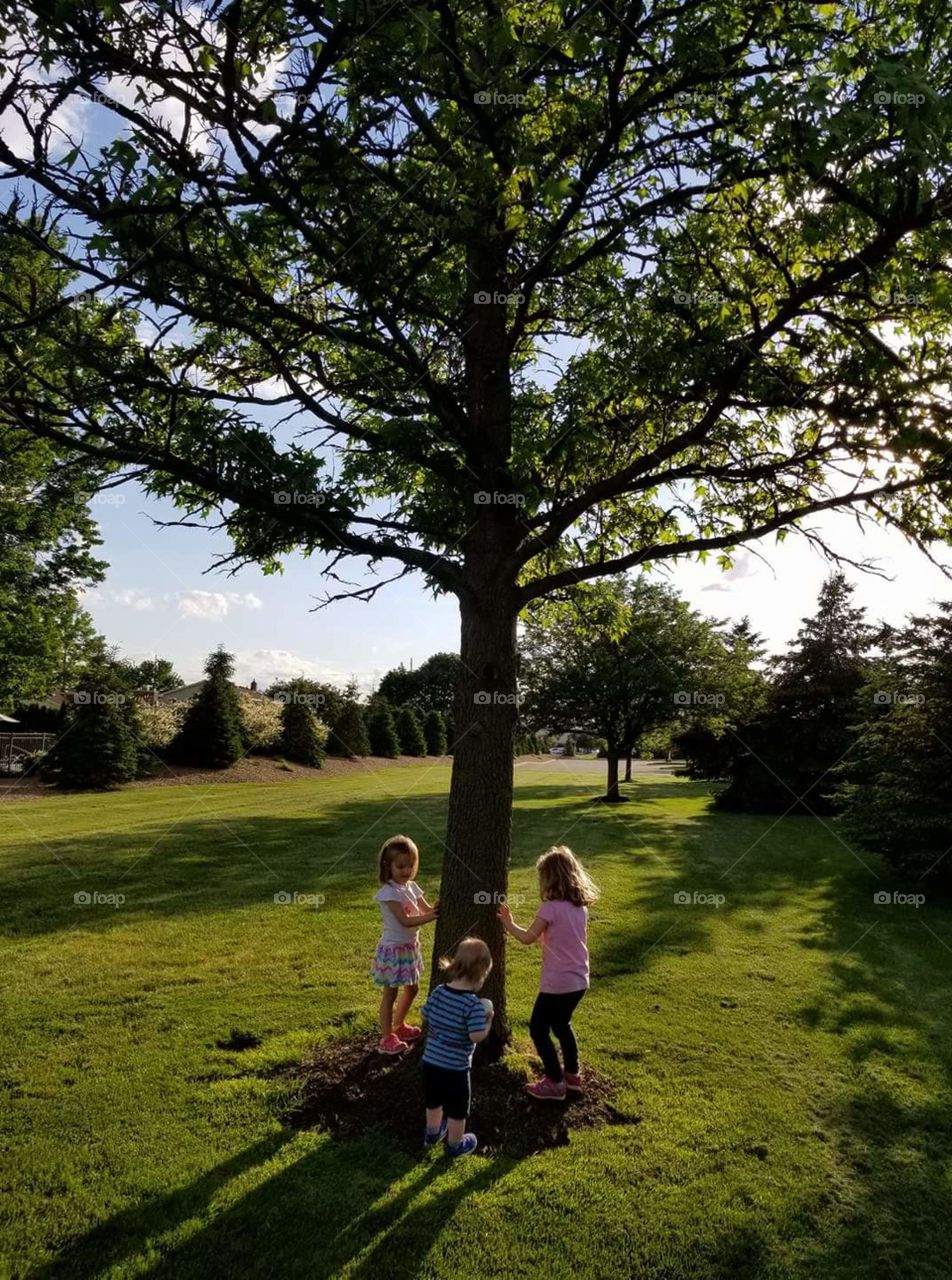 friends around tree
