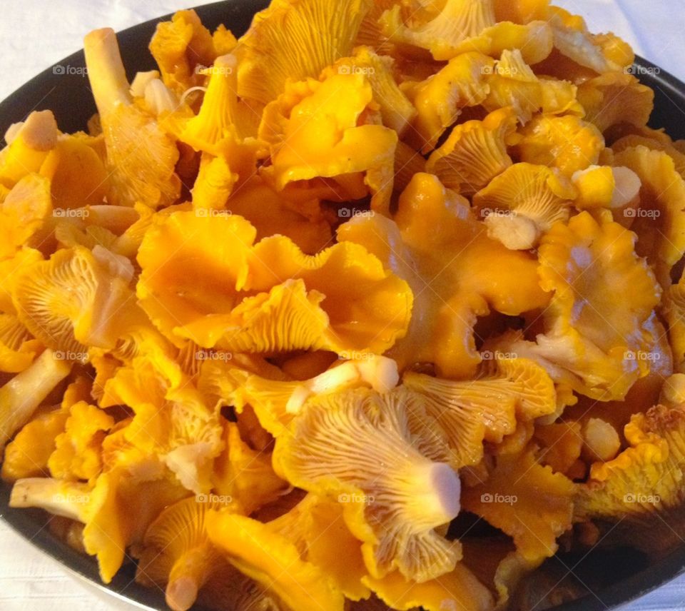 Chantarelles