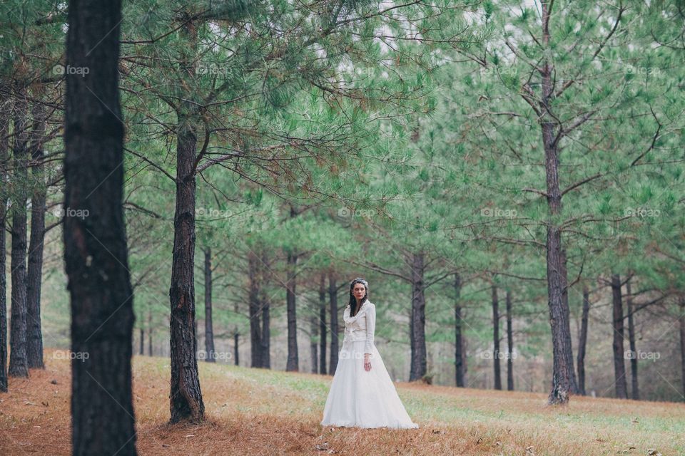 Forest bride