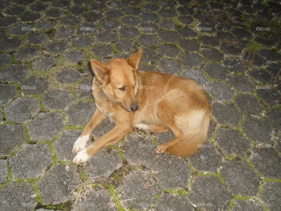 #A little bit of everything #Various things #Viralizing