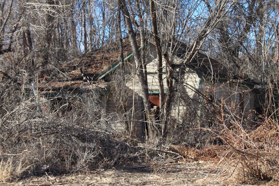 Abandoned house