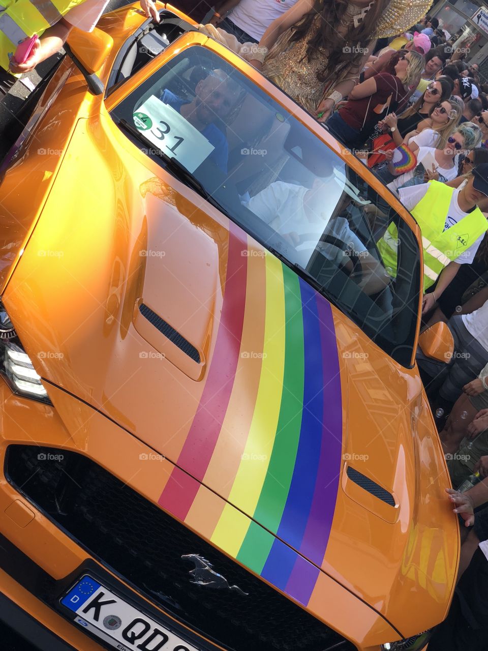 rainbow mustang