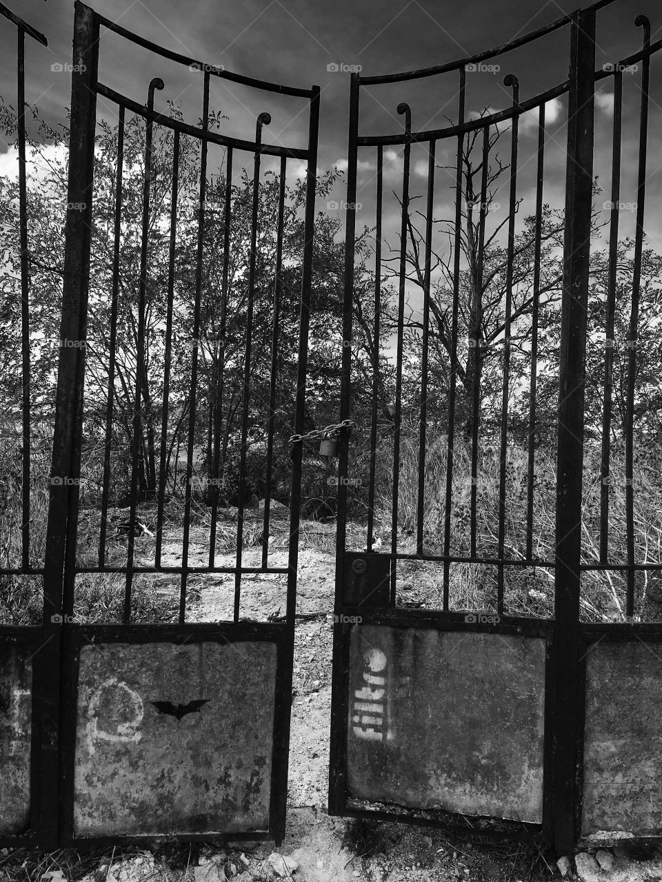 The black and white gate to somewhere 