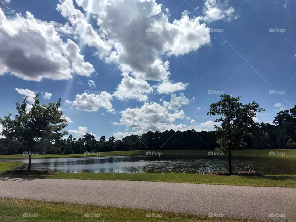 A clear day at park