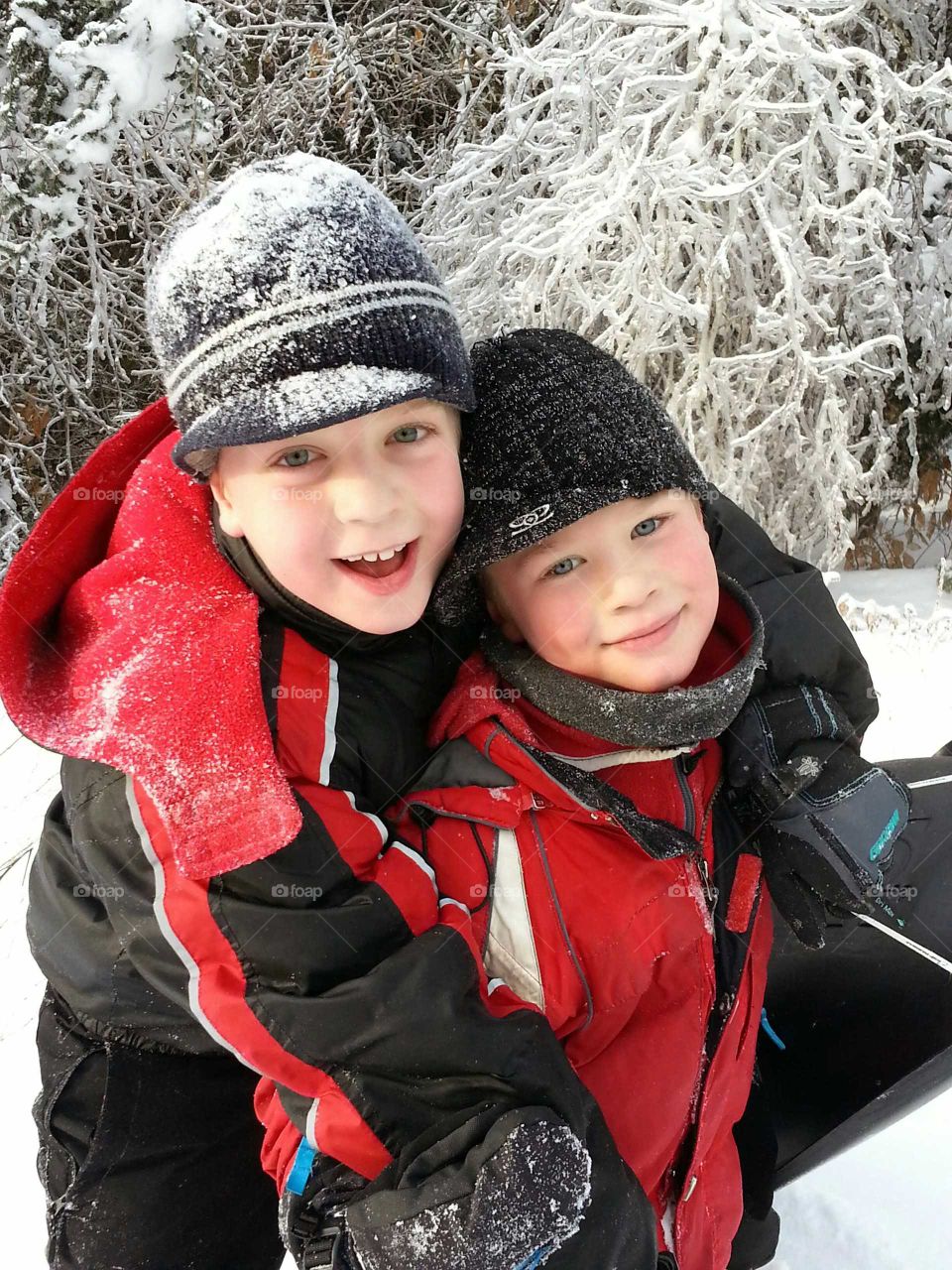 Two boys with their sleigh in winter with a background of trees covered with snow and ice