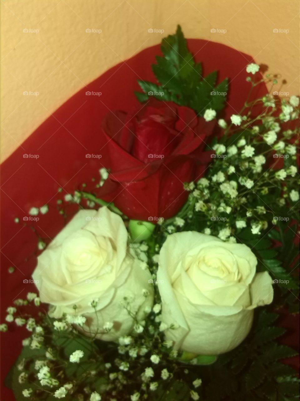 Rose, Wedding, Flower, No Person, Celebration