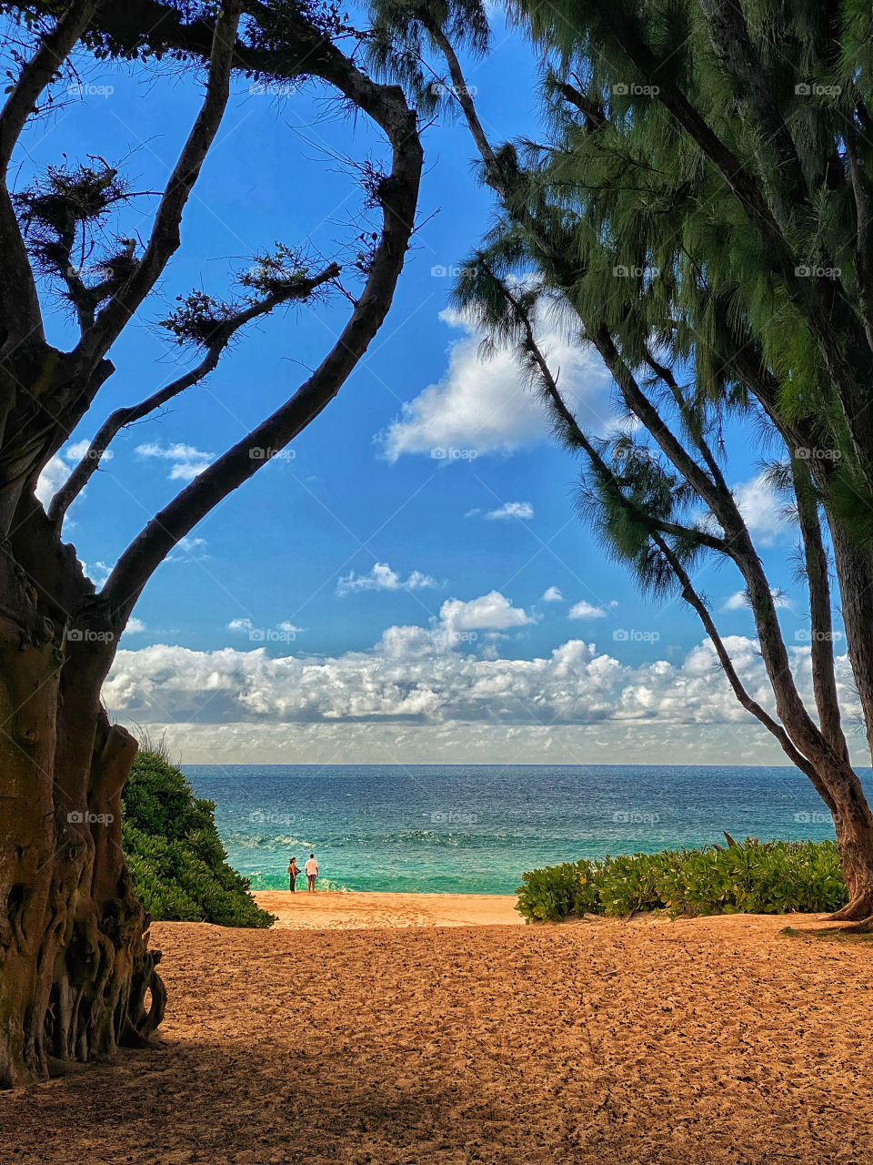 Couple seen through tree branches on Sunset Beach on the North Shore of Oahu, Hawaii 