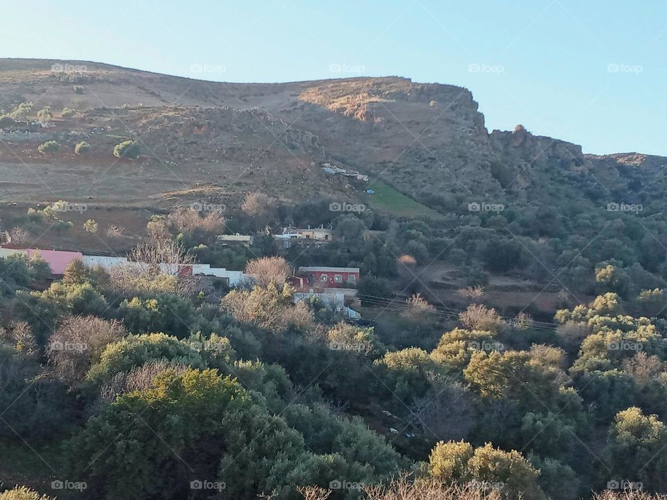 Population between the nature