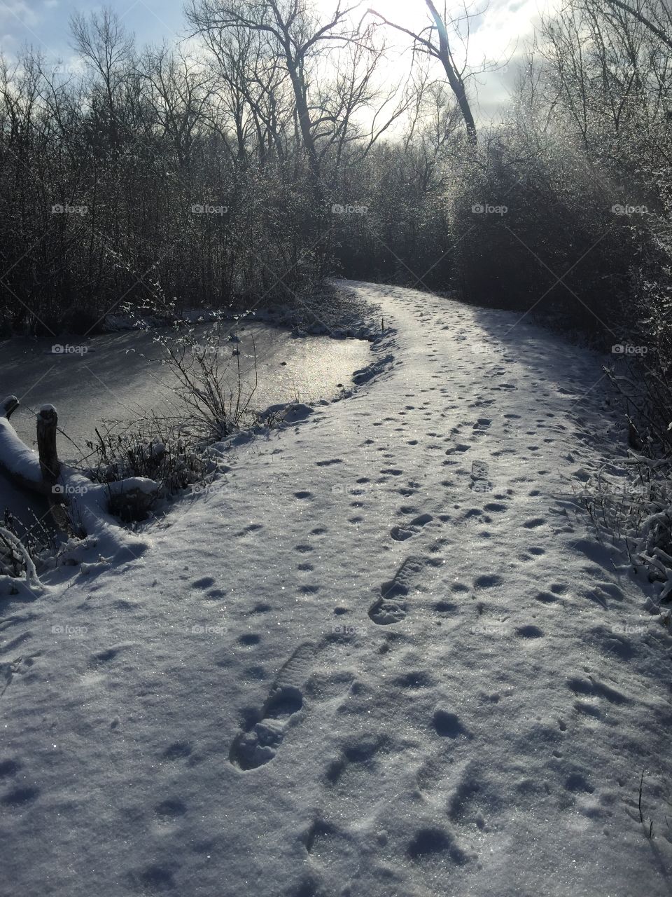 Winter path
