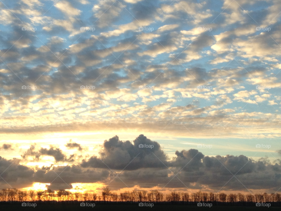 winter clouds sun trees by Nietje70