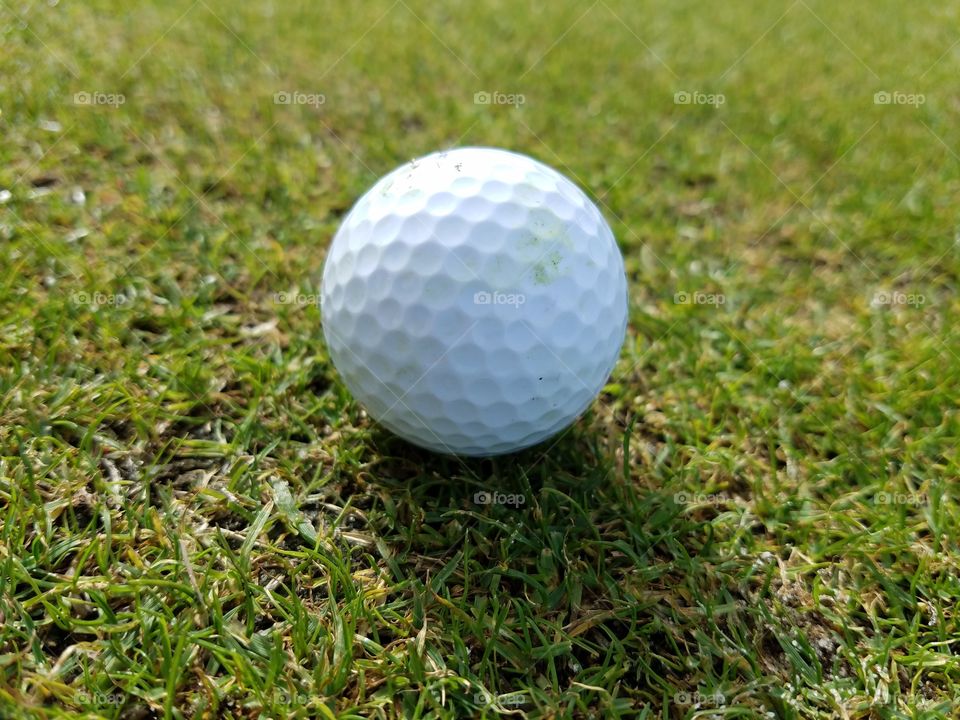 golf ball in the grass
