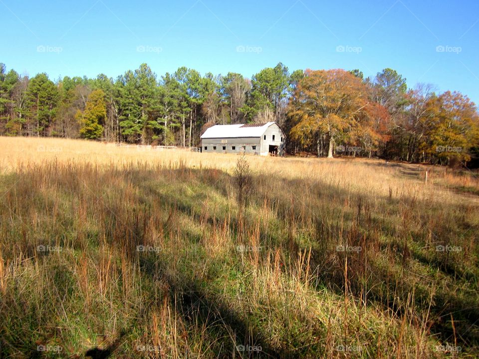 abandoned barn in a field
