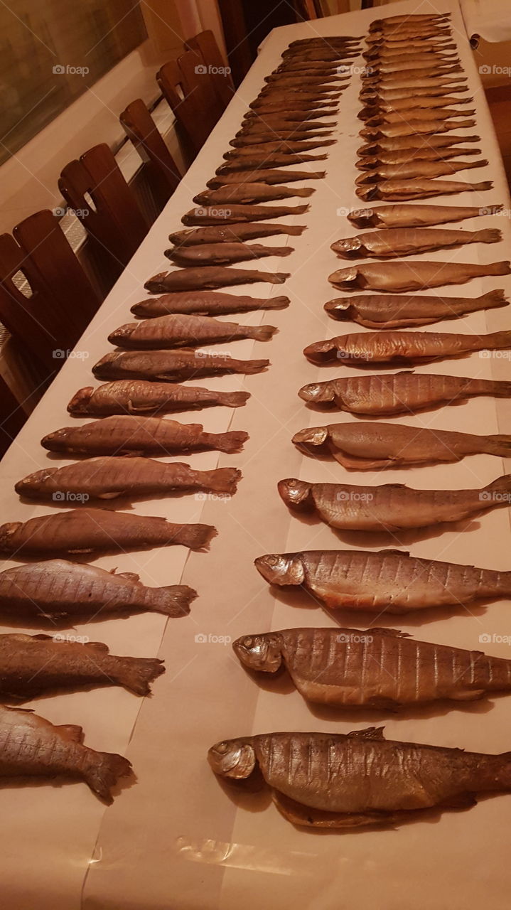 smoke rainbow Trouts