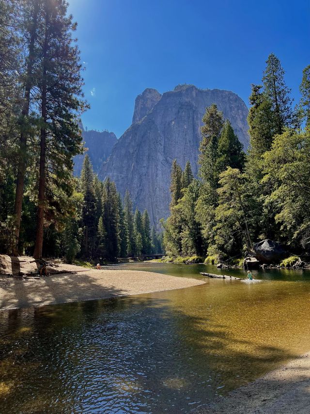 River and Forest