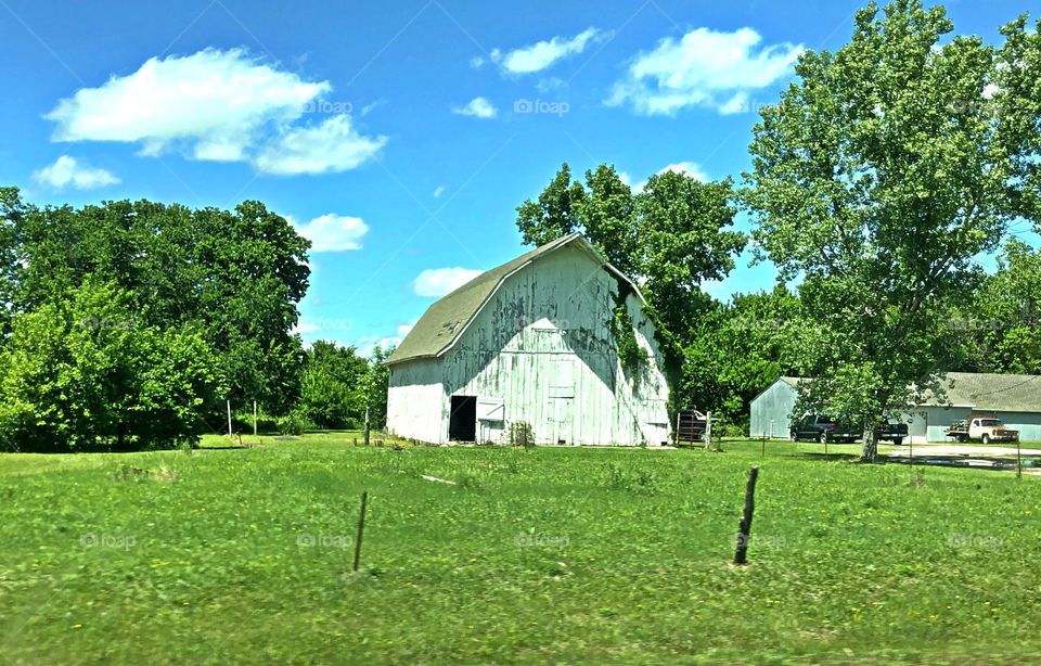 Farm landscape