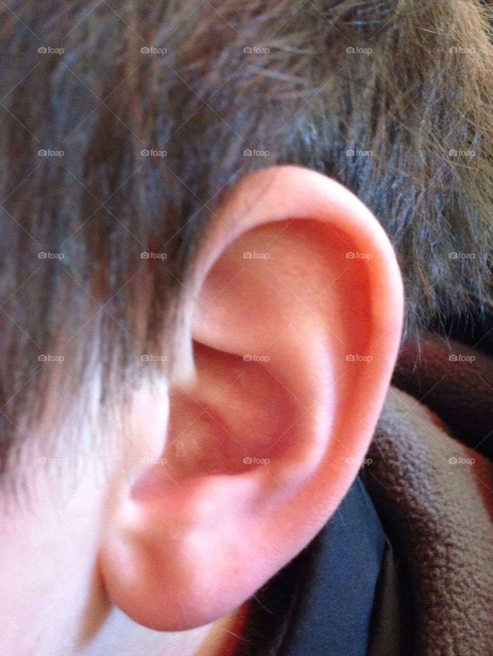 Ear