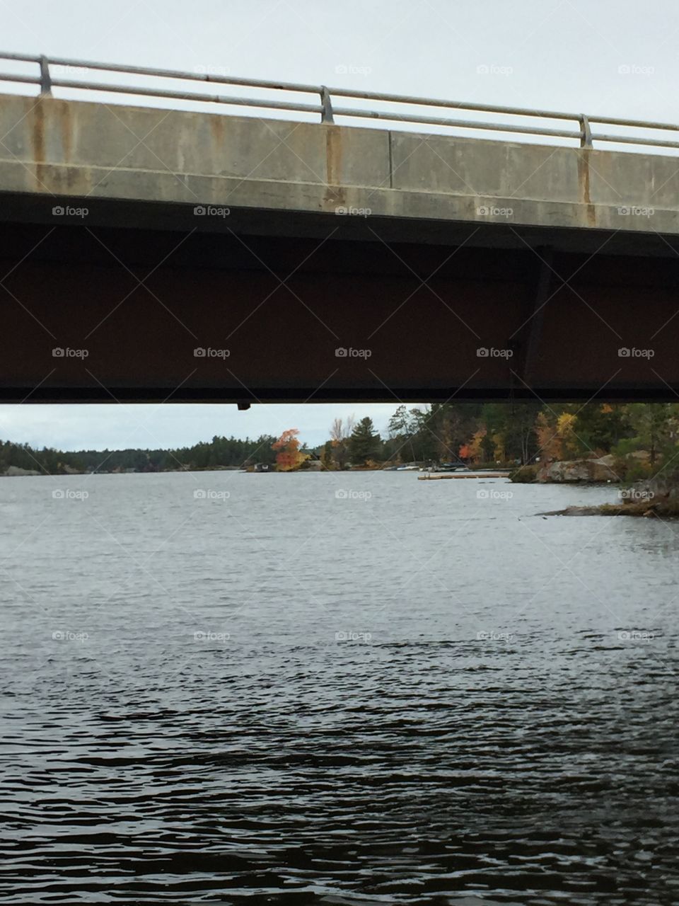 Under the bridge 