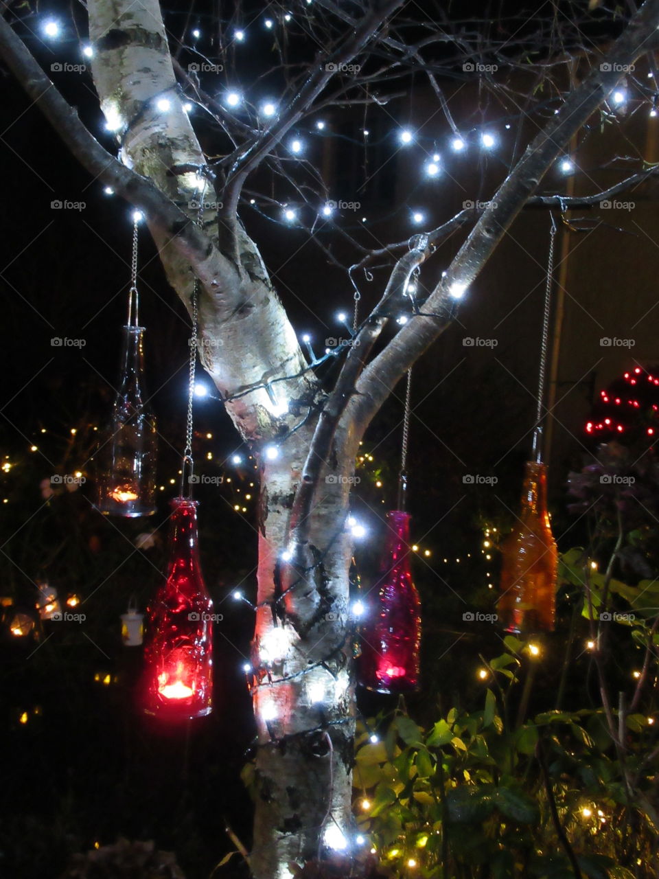 Tree looking very festive with fairy lights and coloured bottles with tea lights