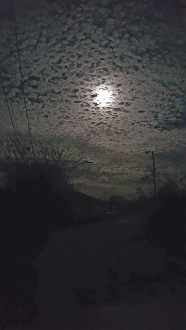 night