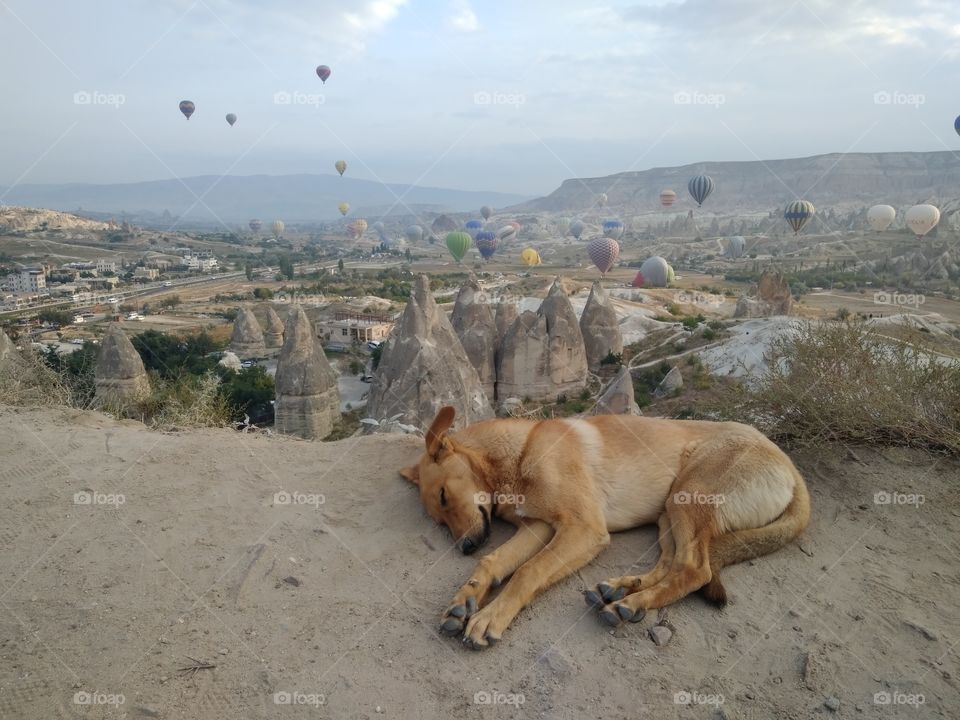 Morning in Cappadocia