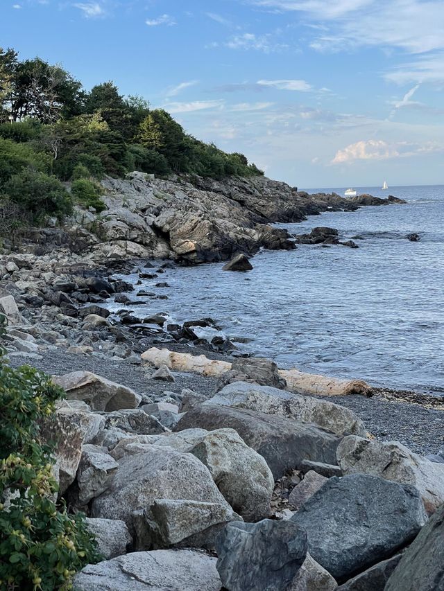 On the rocks