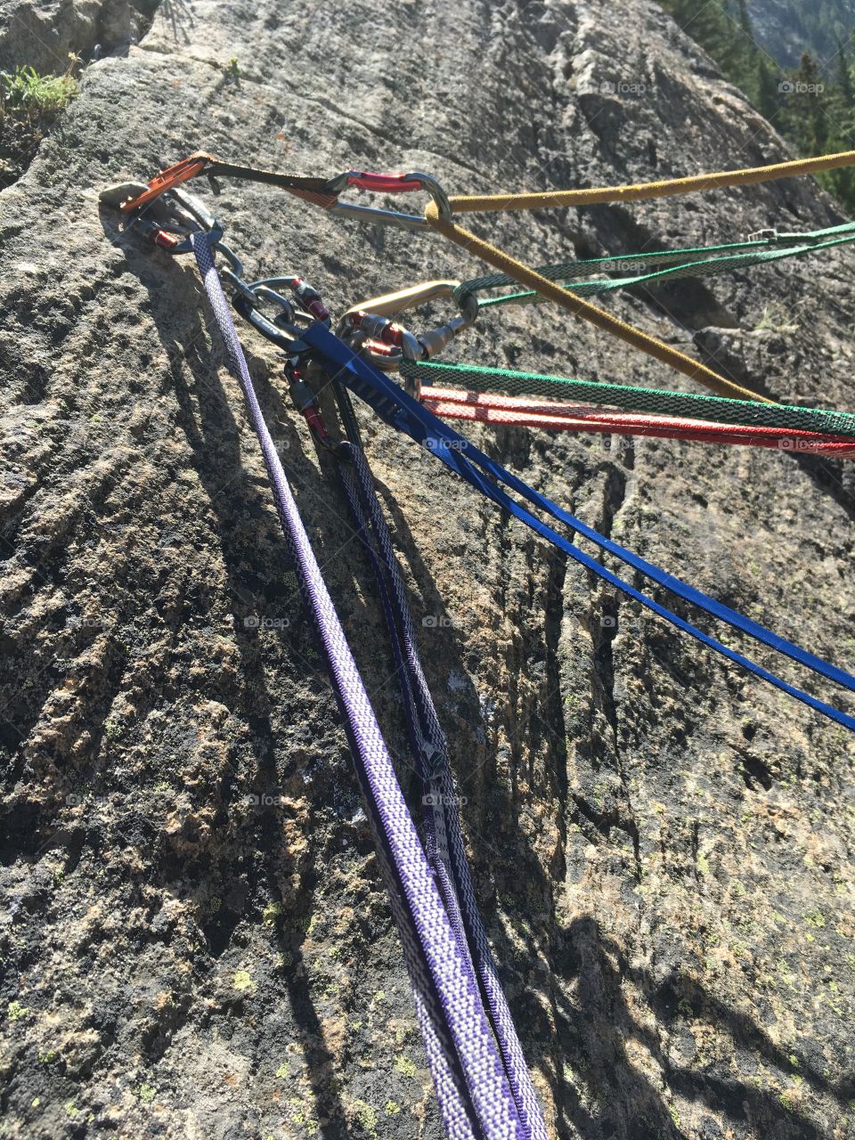 Colored slings of rock climbers attached to a rock by carabiners