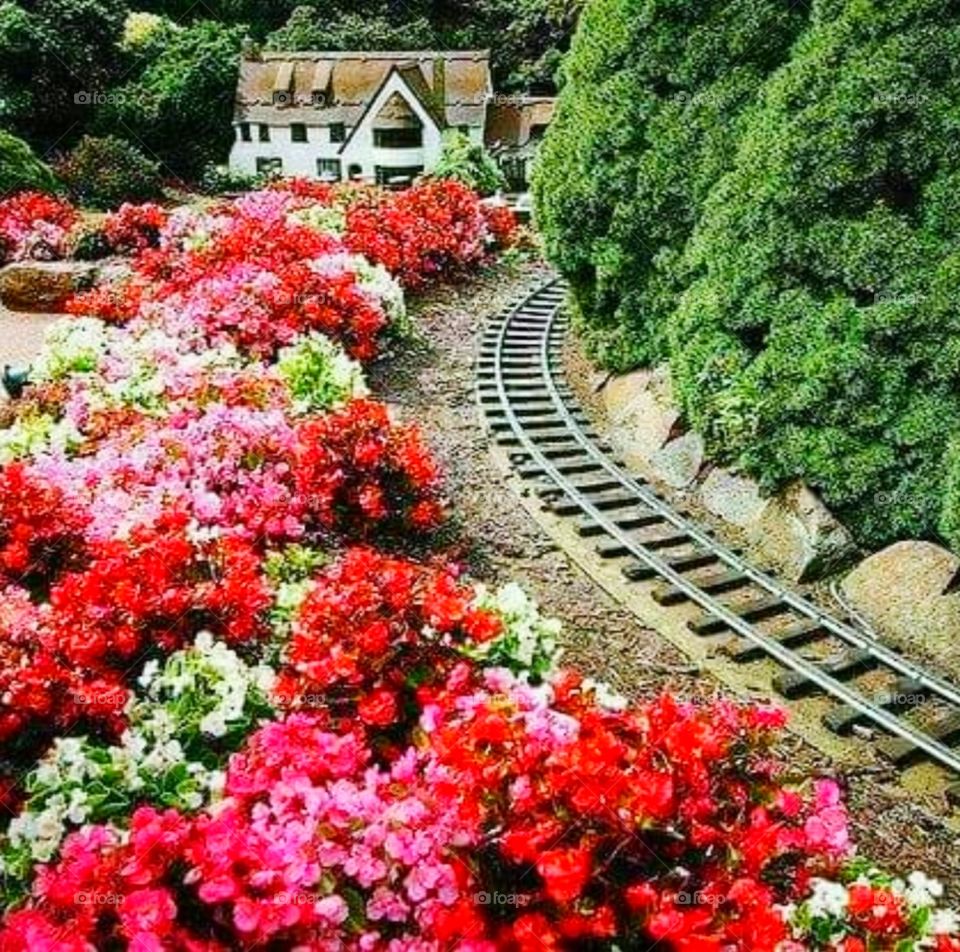 💲💲💲💲💲💲💲💲💲💲💲💲💲