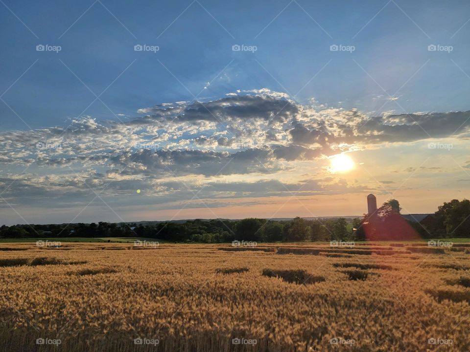 sun setting over farm