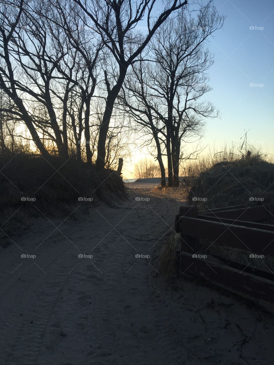 Beach sunset path 