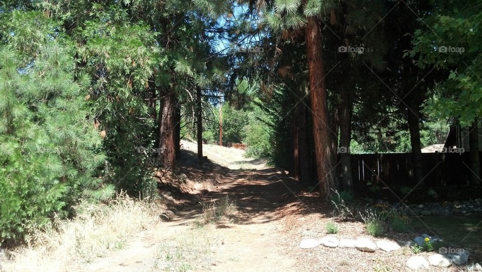 An ally, Yreka style