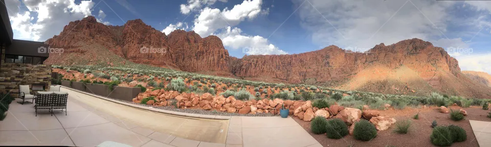 Back yard